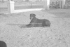 ONR_L-1167-49_30877_img_000877_thumb.gif