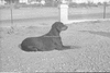 ONR_L-1167-49_30878_img_000878_thumb.gif