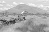 ONR_L-1280-51_30953_img_000953_thumb.gif