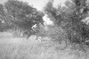 ONR_L-1280-51_30954_img_000954_thumb.gif