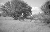 ONR_L-1280-51_30955_img_000955_thumb.gif