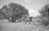 ONR_L-1280-51_30956_img_000956_thumb.gif