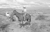 ONR_L-1280-51_31056_img_001056_thumb.gif