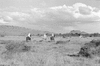 ONR_L-1280-51_31057_img_001057_thumb.gif