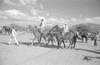 ONR_L-1280-51_31059_img_001059_thumb.gif