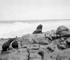 roth_gen_cape_31278_img_001278_thumb.gif