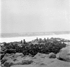 roth_gen_cape_31279_img_001279_thumb.gif