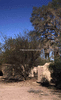 NAN_SL_KAOKO_img_036210_thumb.gif