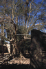 NAN_SL_KAOKO_img_036213_thumb.gif