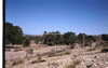 NAN_SL_KAOKO_img_036214_thumb.gif