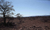 NAN_SL_KAOKO_img_036219_thumb.gif