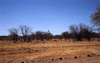 NAN_SL_KAOKO_img_036224_thumb.gif