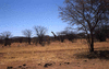 NAN_SL_KAOKO_img_036225_thumb.gif