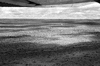 ONR_NEG_LAFRENZ_img_033165_thumb.gif
