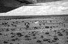 ONR_NEG_LAFRENZ_img_033169_thumb.gif