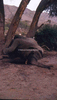 NAN_SL_KAOKO_img_036236_thumb.gif