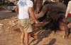 NAN_SL_KAOKO_img_036239_thumb.gif