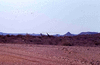 NAN_SL_KAOKO_img_036245_thumb.gif