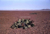 NAN_SL_KAOKO_img_036250_thumb.gif