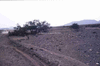 NAN_SL_KAOKO_img_036251_thumb.gif