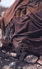 NAN_SL_KAOKO_img_036254_thumb.gif