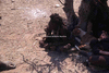 NAN_SL_KAOKO_img_036261_thumb.gif