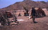 NAN_SL_KAOKO_img_036262_thumb.gif