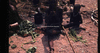 NAN_SL_KAOKO_img_036282_thumb.gif