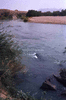 NAN_SL_KAOKO_img_036290_thumb.gif