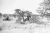 ONR_L-1166-49_31521_img_001521_thumb.gif