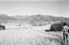 roth_kaoko_img_035308_thumb.gif