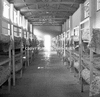 roth_gen_whk_31148_img_001148_thumb.gif