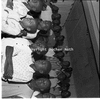 roth_gen_whk_31160_img_001160_thumb.gif