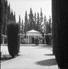 roth_gen_whk_31167_img_001167_thumb.gif