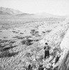 roth_gen_whk_31188_img_001188_thumb.gif