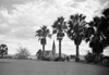roth_gen_whk_31192_img_001192_thumb.gif