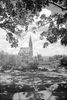 roth_gen_whk_31195_img_001195_thumb.gif