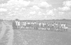 ONR_L-1052-48_30057_img_000057_thumb.gif