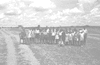 ONR_L-1052-48_30058_img_000058_thumb.gif