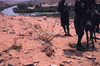 NAN_SL_KAOKO_img_036308_thumb.gif