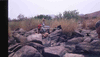 NAN_SL_KAOKO_img_036311_thumb.gif
