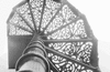 NAN_NEG_SCHOEDDER_img_040116_thumb.gif