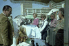 ONR_NEG_WHKMUNI_img_038153_thumb.gif