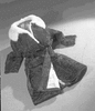 ONR_NEG_ADMI_img_033788_thumb.gif