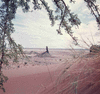 ONR_NEG_ARTS_img_035096_thumb.gif