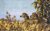 ONR_PRI_LEWIN_img_037953_thumb.gif