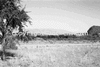roth_kaoko_img_035309_thumb.gif