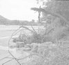 ONR_NEG_A-Z_img_032254_thumb.gif