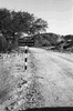 roth_kaoko_img_035310_thumb.gif