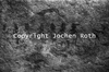 roth_kaoko_img_035320_thumb.gif